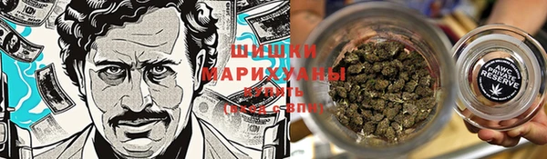 стафф Тихвин