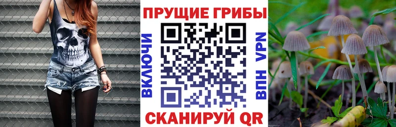 Галлюциногенные грибы прущие грибы  hydra как войти  shop наркотические препараты  Островной 